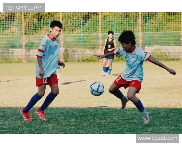 浙江足球队最新队员名单及其个人信息全解析